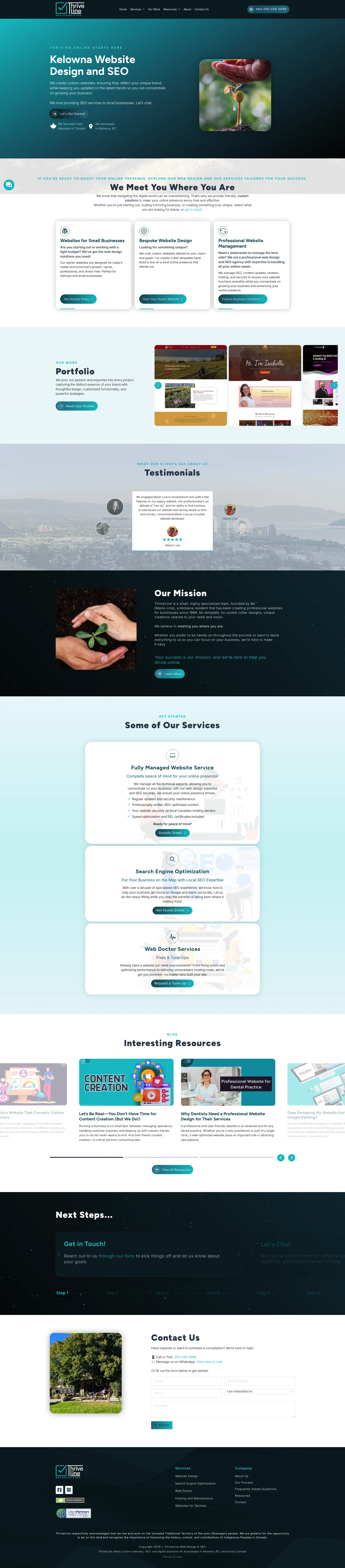 ThriveLine Web Design & SEO - Screenshot